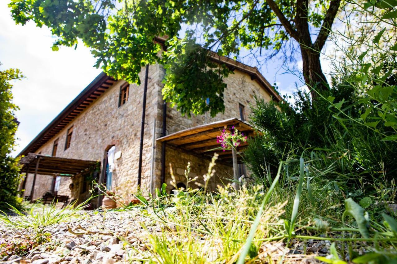 Il Vichiaccio Country House Импрунета Экстерьер фото